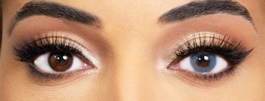 lentilles bleues